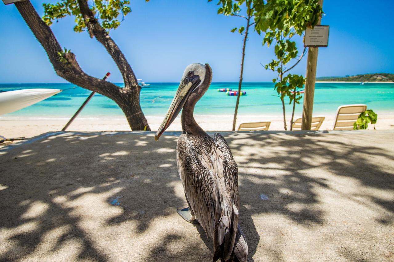 Paradise Island Beach Resort Punta Rucia Eksteriør bilde